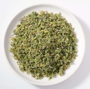 Andornkraut