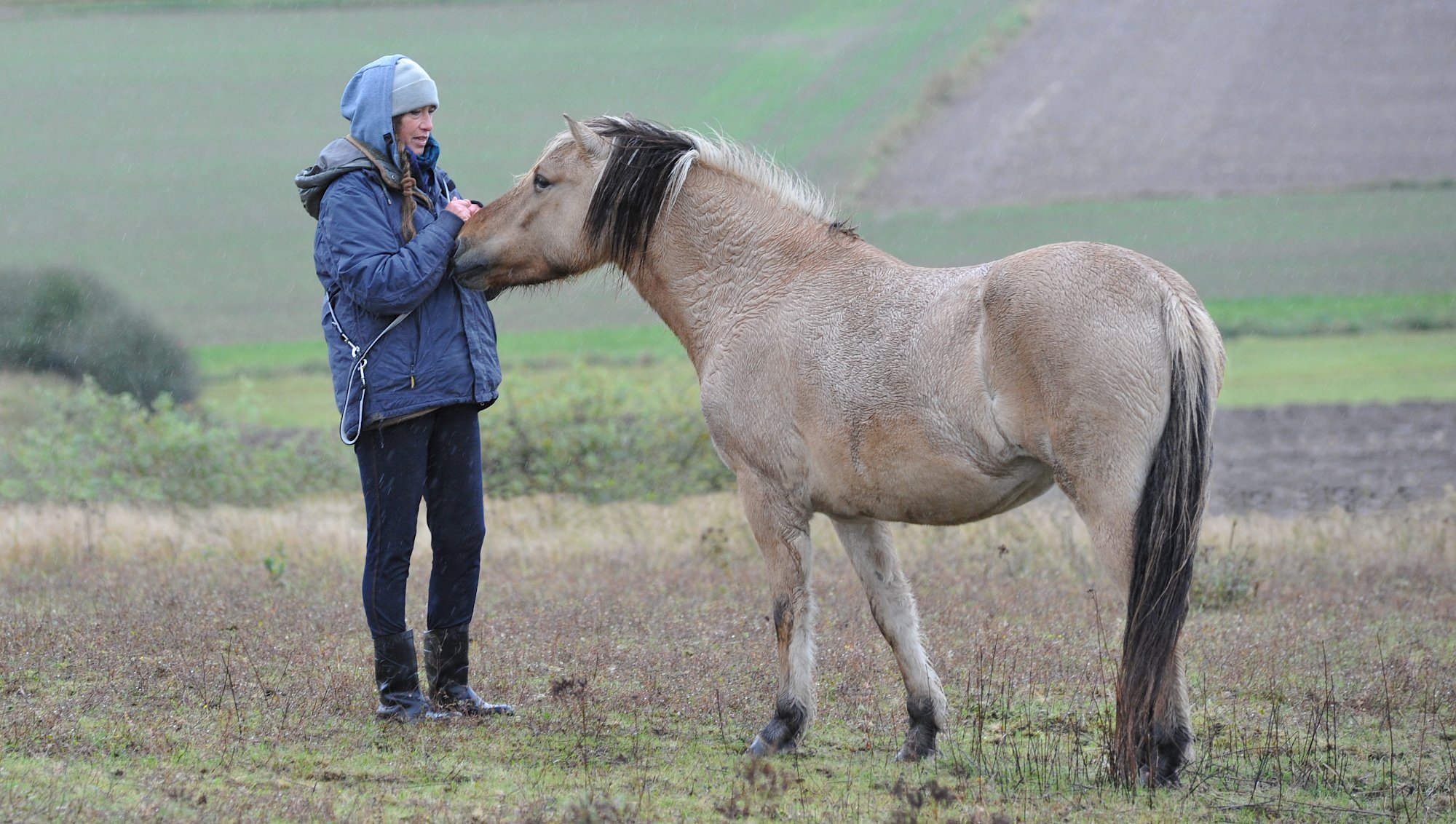 Christa und Pferd Minou: Pferde Widerstandskraft stärken