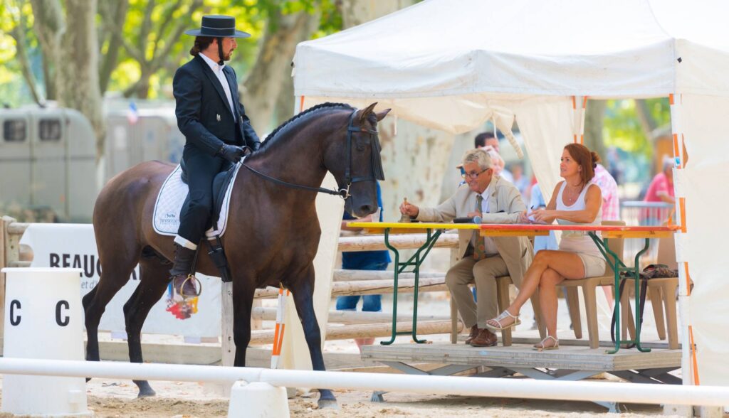 Reiter mit Dressurpferd vor Richtern. Pferd im Leistungssport.
